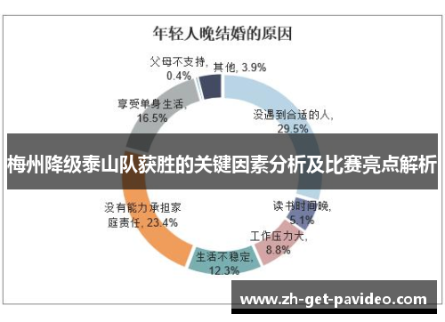 梅州降级泰山队获胜的关键因素分析及比赛亮点解析