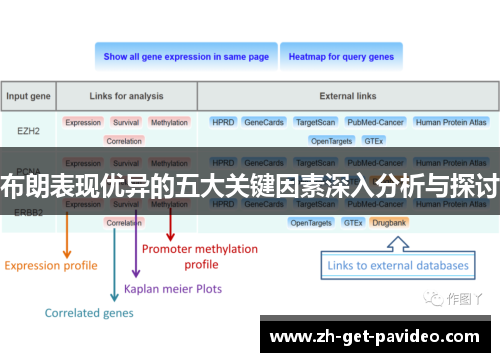 布朗表现优异的五大关键因素深入分析与探讨