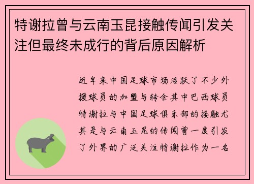 特谢拉曾与云南玉昆接触传闻引发关注但最终未成行的背后原因解析